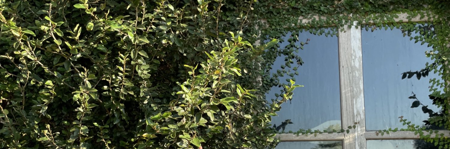 Gis56Yee's profile banner image