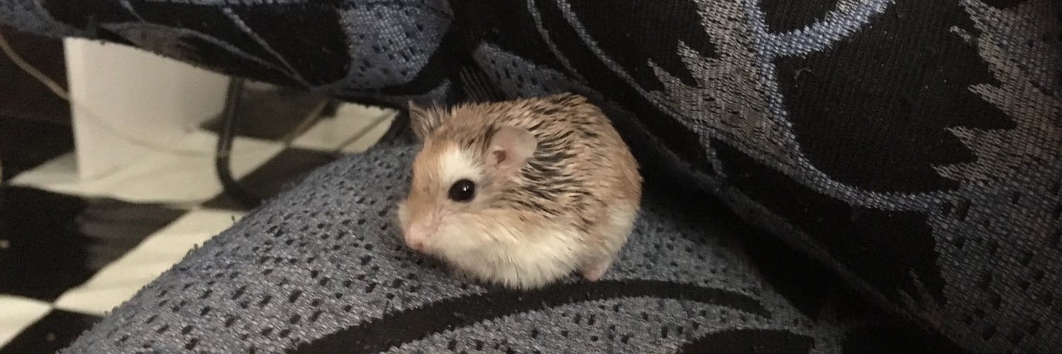 farraheinn's profile banner image