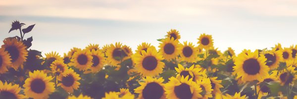 AnaGrabova's profile banner image