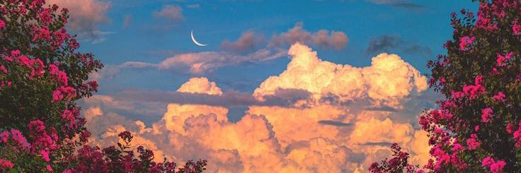 Lanegraesaa_'s profile banner image