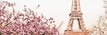 Bibiis__'s profile banner image