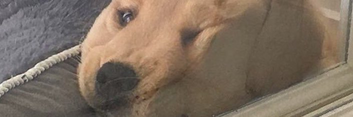 fakejp's profile banner image