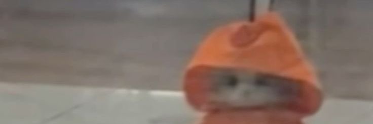 Nhiuum's profile banner image