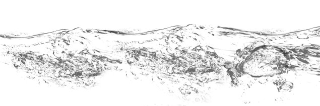 SDWORC's profile banner image