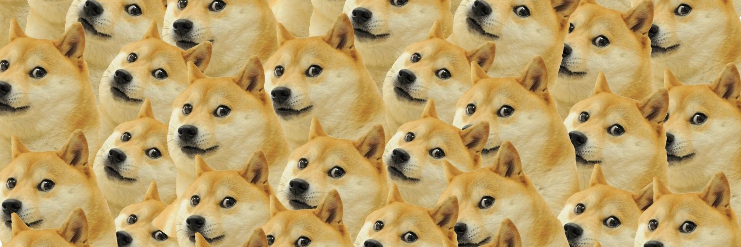 letomg0's profile banner image