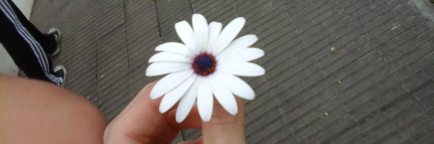 FlorTreppo's profile banner image