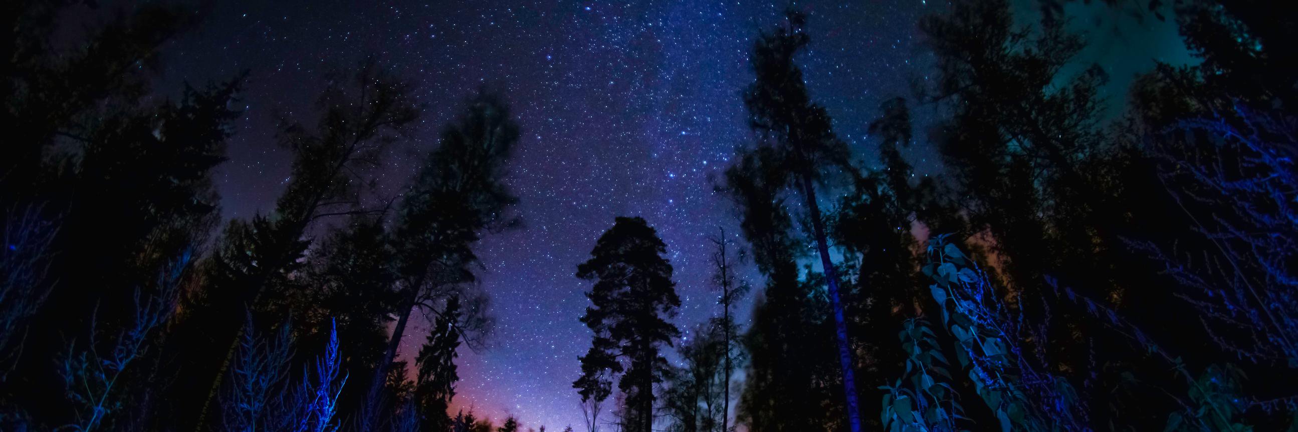 Xandpic's profile banner image