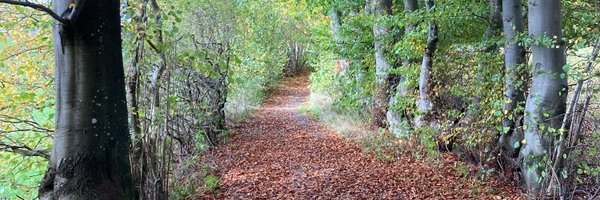 _Matthieu_ Profile Banner