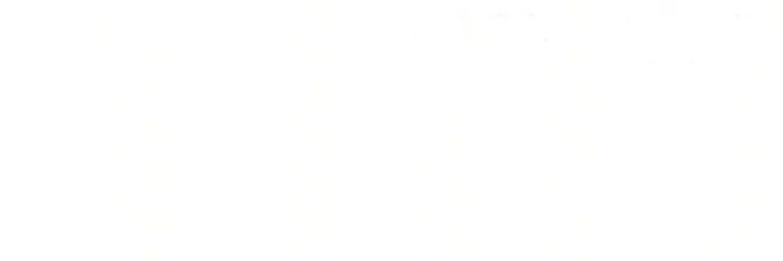 vetnra's profile banner image