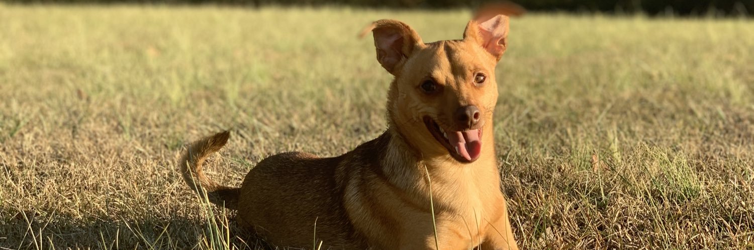 abbyjomo99's profile banner image