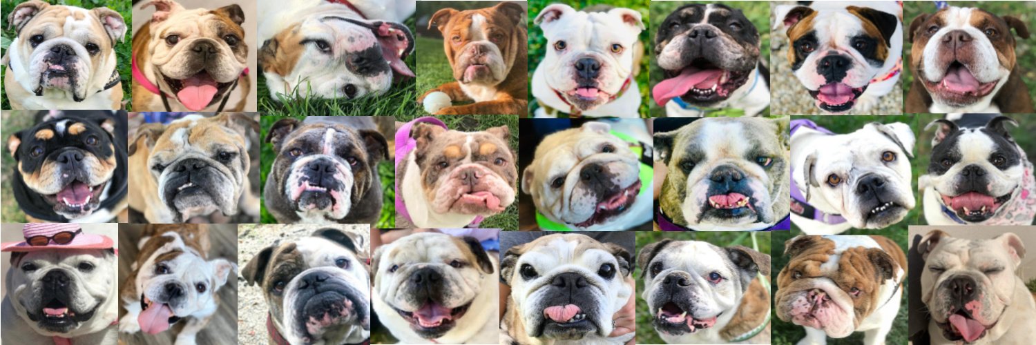 So Cal Bulldog Rescue banner