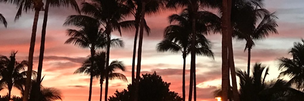 bluejayrose3's profile banner image