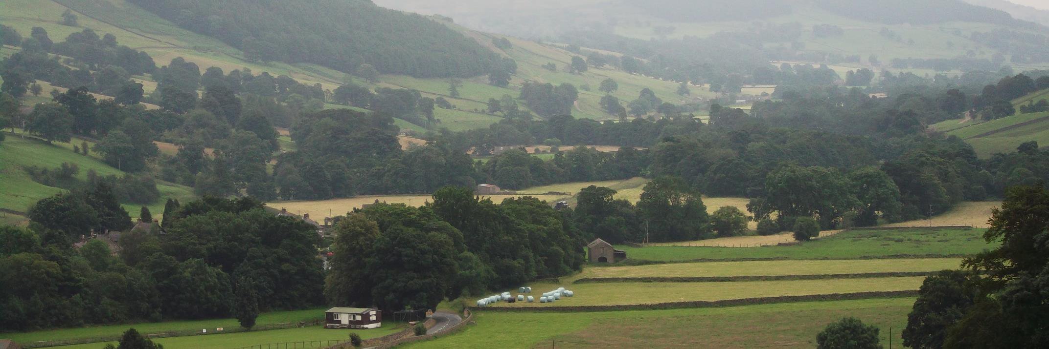 Pippa Chapman's banner