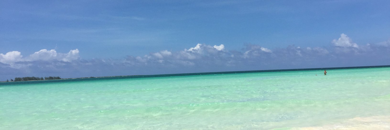 AngusElFlaco's profile banner image