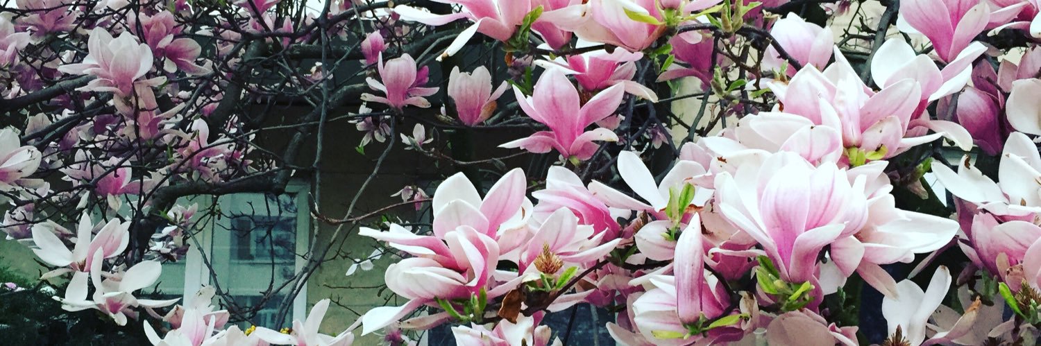 Eleanor_Mears's profile banner image