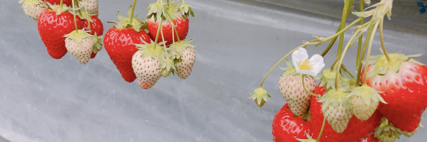 moocha321's profile banner image
