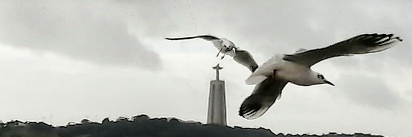 Luis Inverno banner