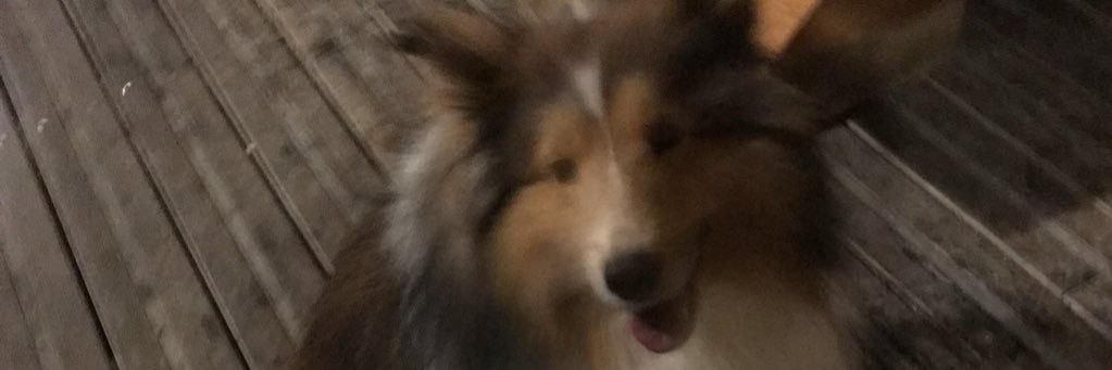 e_zm666's profile banner image