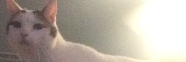 SomethingBrooks's profile banner image