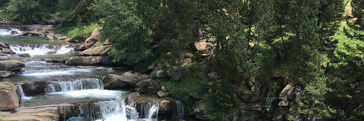 alberathis's profile banner image
