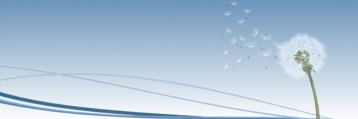 Alliance Libre banner