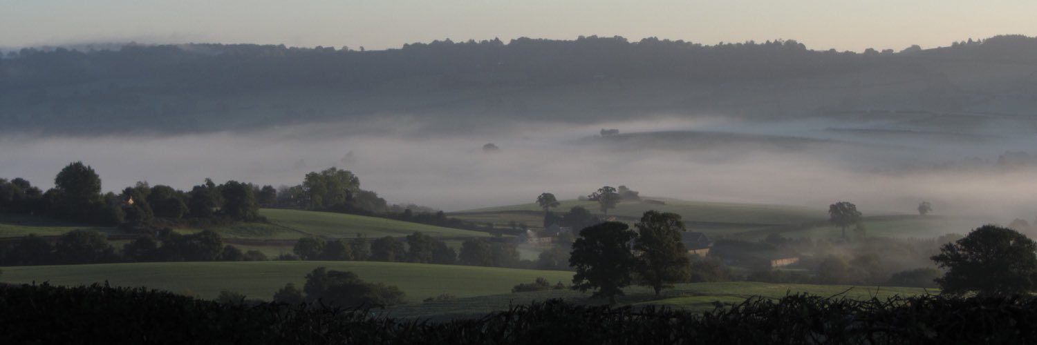 Rachel Williams banner