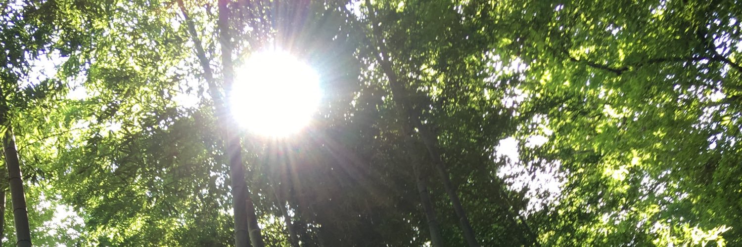 COM556's profile banner image