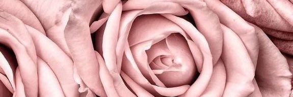Titostarrr's profile banner image