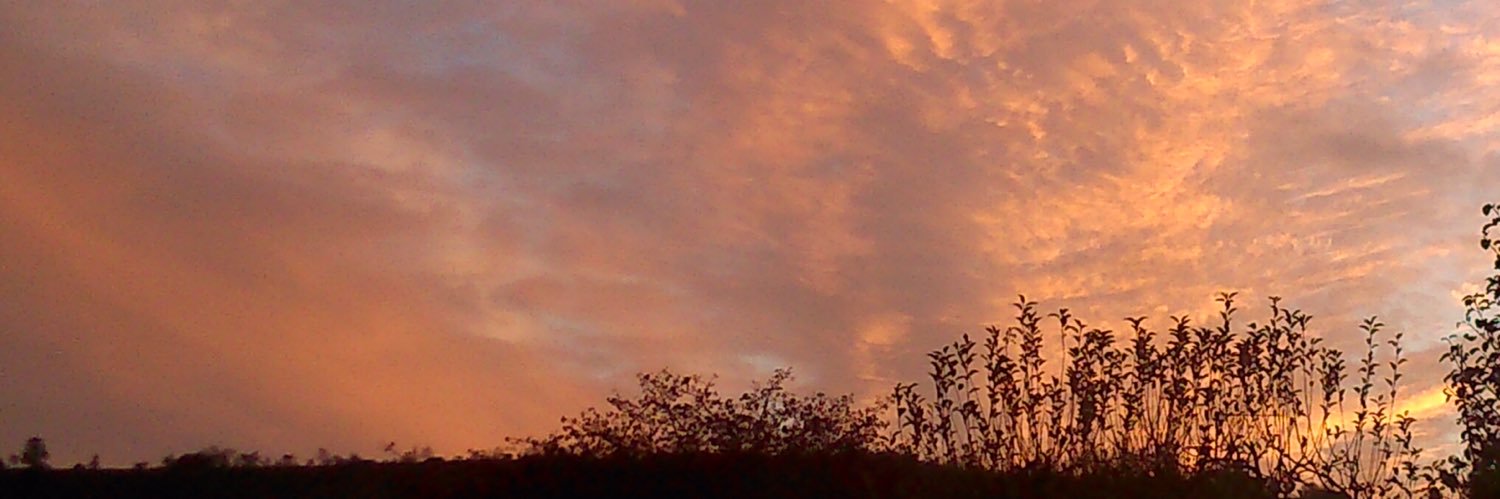 AndyPRG's profile banner image