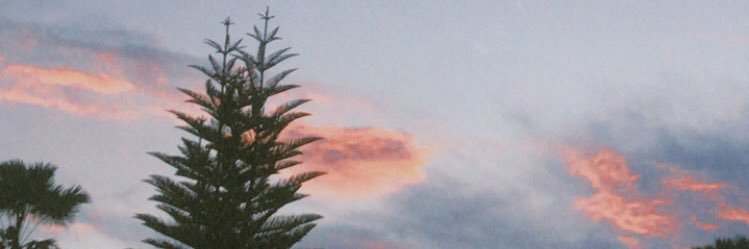 nsyfrr's profile banner image