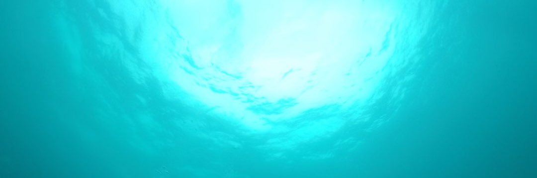 shopppppppppi's profile banner image