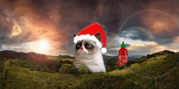 David B Wilson banner