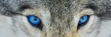 Johnnydick4fk's profile banner image