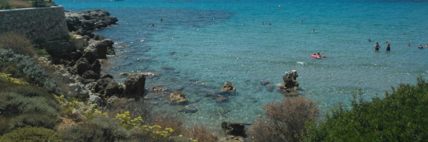 yolalonso's profile banner image