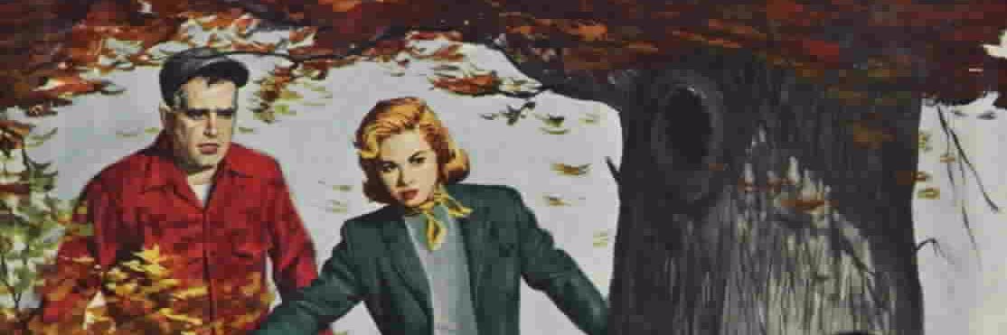 NancyDrewbooks's profile banner image