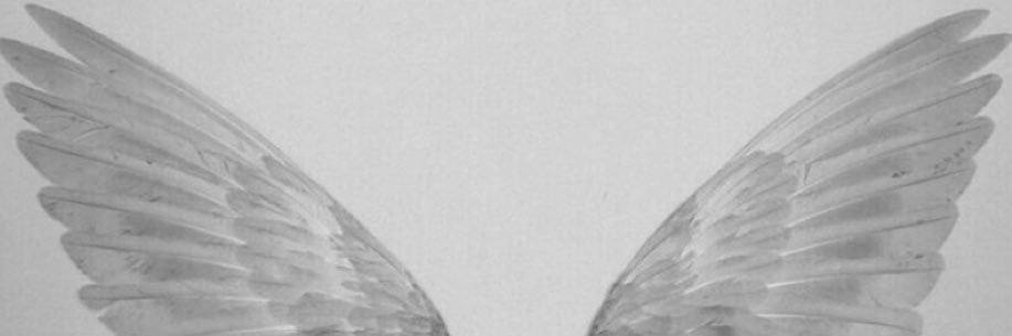 KEM0Al7's profile banner image