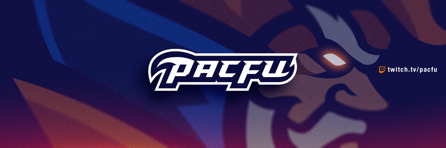 PacFu the Mystical Ninja banner