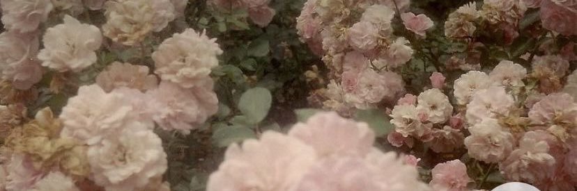 아이사! banner