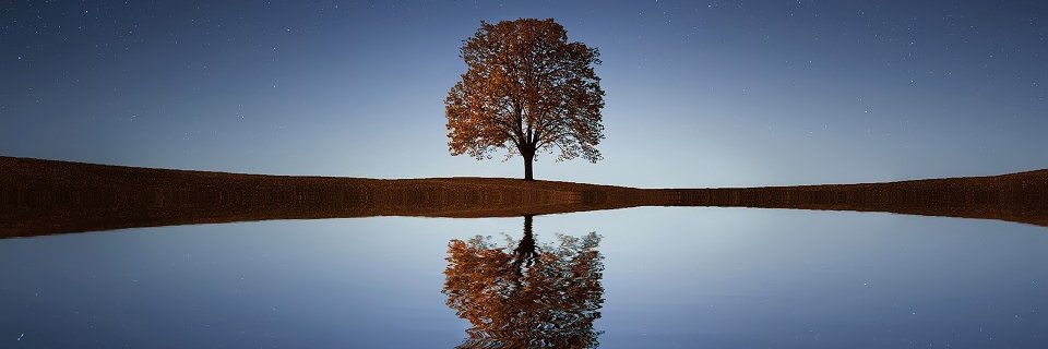 avsal4's profile banner image