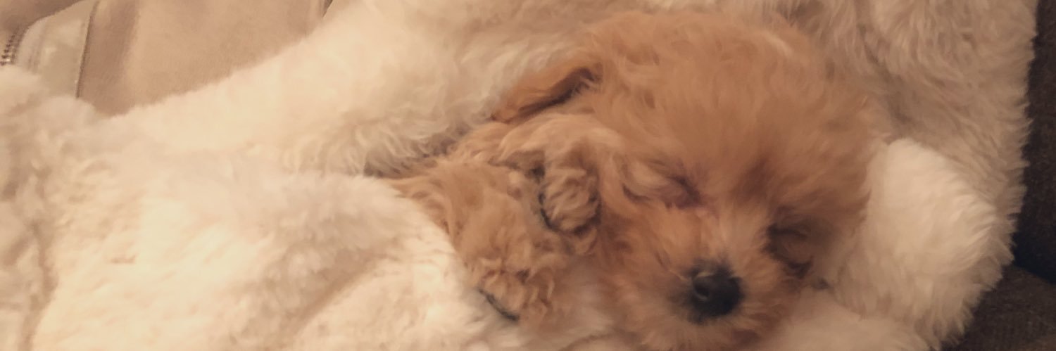 chan_marimari_'s profile banner image