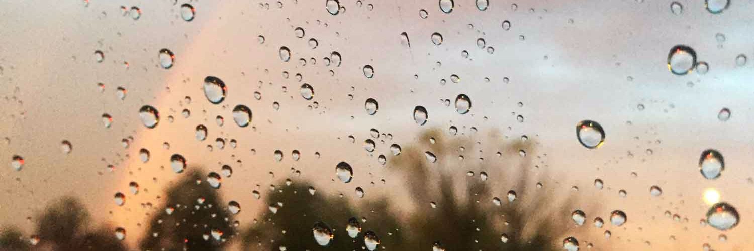 Michelle Krogmeier banner