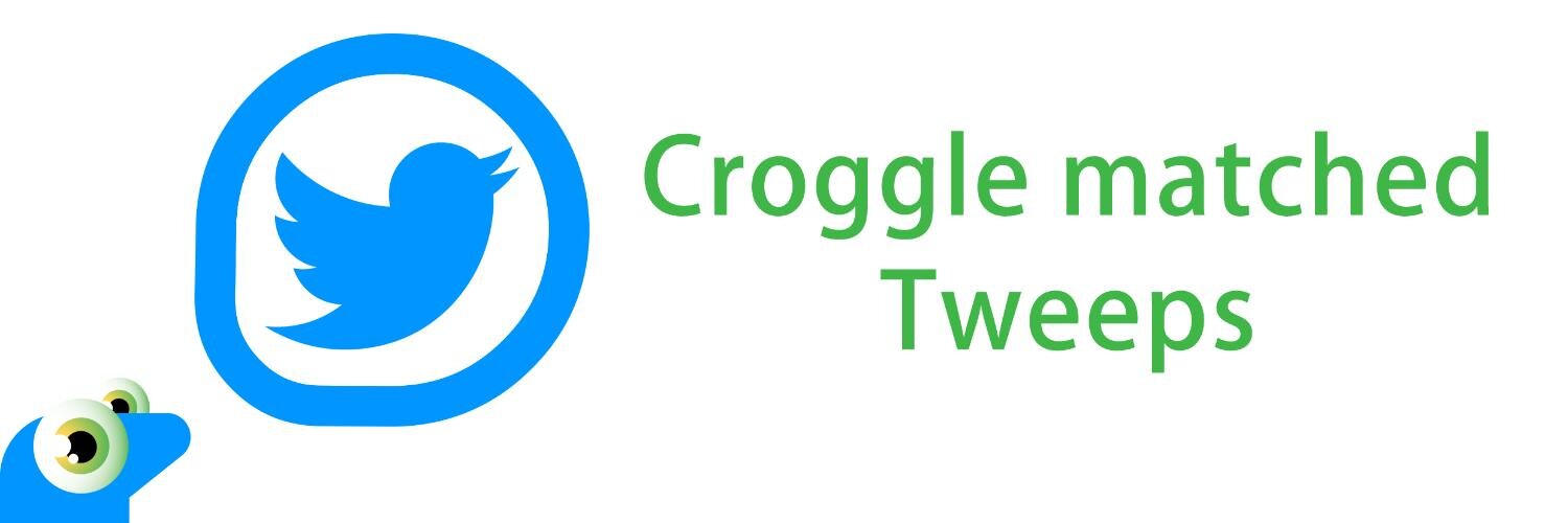 croggle_nl's profile banner image