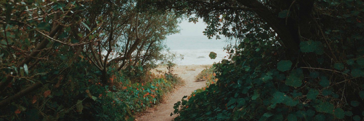 DrueMoore's profile banner image