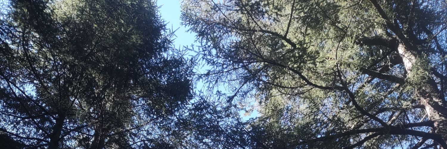 jerrogt's profile banner image
