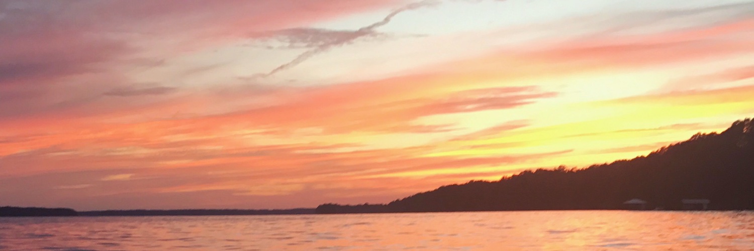 janiemsmith's profile banner image