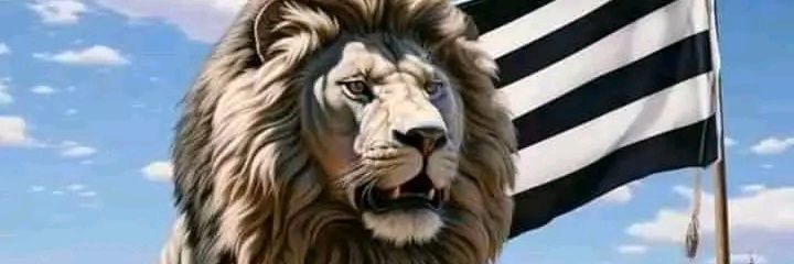 The Benue_Boy💯%💪 banner
