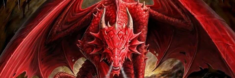 dimigui07's profile banner image