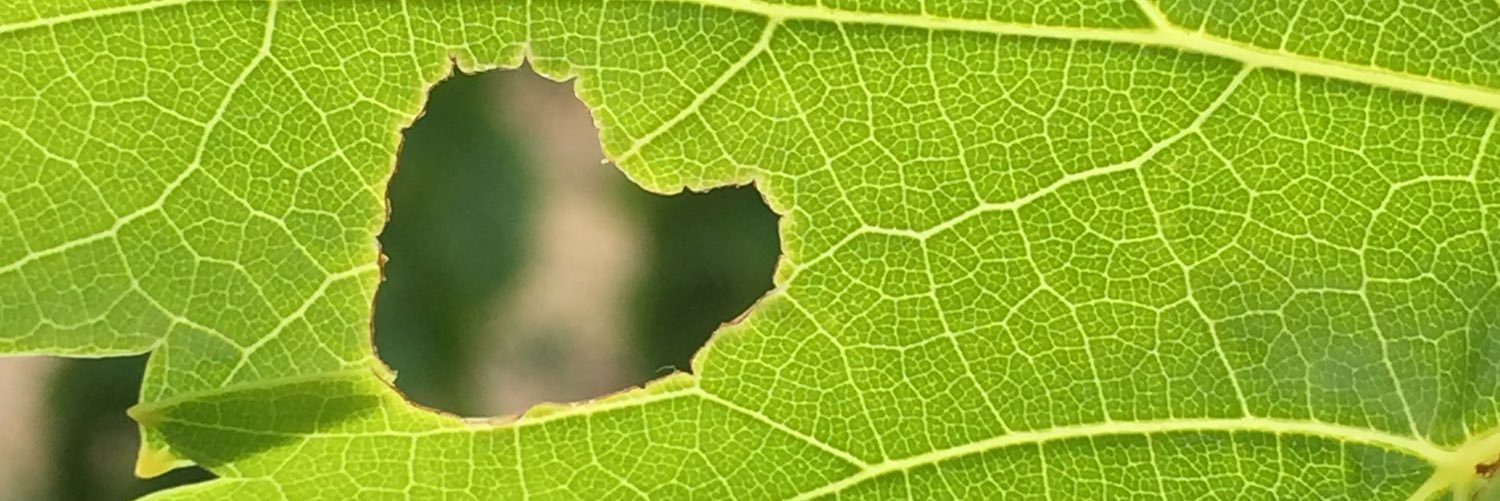88maryke's profile banner image
