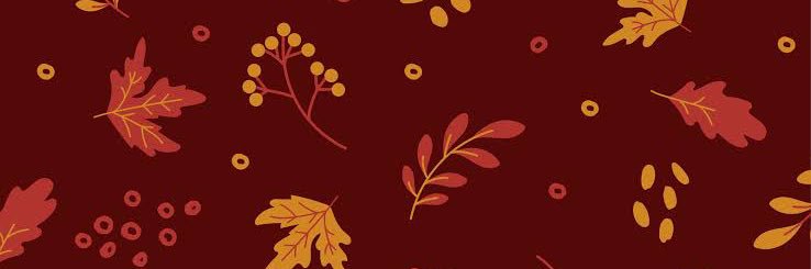 akstcoolroma's profile banner image