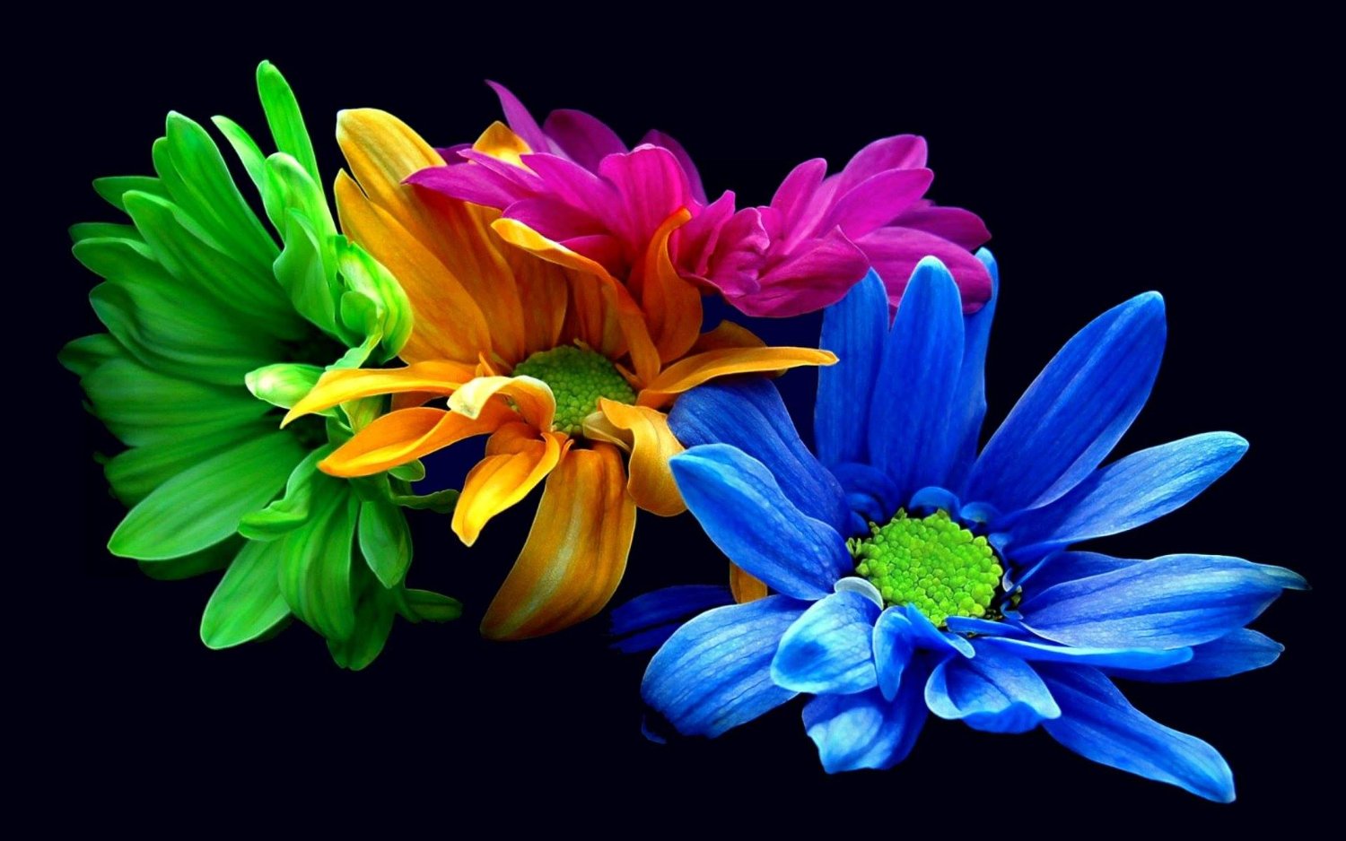 life2daylive's profile banner image